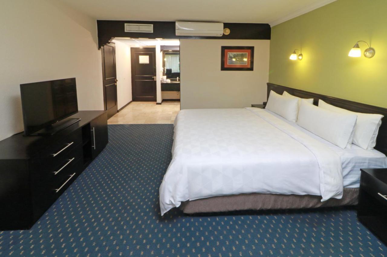 Holiday Inn San Luis Potosi-Quijote By Ihg Eksteriør bilde